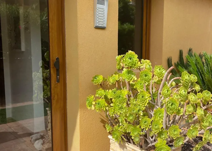 Parque Recoleta 1 * Torrevieja